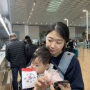 올가닉신라 | 4박5일 다낭 자유여행 1일차 일정 / 공항 → 호텔(신라모노그램다낭꽝남) → 레드크랩 → 골든로터스 스파