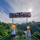 능안농장 이미지