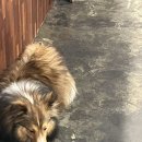 카페 포 너드 이미지