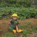 은호농장 이미지