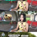다솜기획