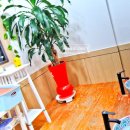 마법의약손안마원 이미지