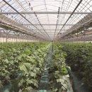 서정덕농장 이미지