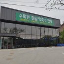 100%메밀수목원막국수