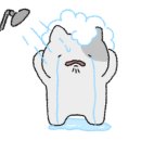 진솔손세차 이미지