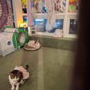 창욱농장 이미지