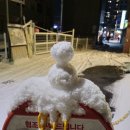 유한회사 푸드하임 | [12월 기록] 이제 진짜 잘가라 25년 ~~