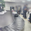 부엉이카워시 | 아기와 2박3일 제주도 여행 - 1일차(김포공항, 화조원, 이호테우해수욕장, 김해횟집, 소노벨 제주 후기)