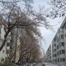 클린공인중개사사무소 이미지