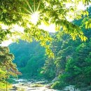 산수화펜션 이미지
