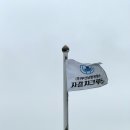 자갈치맘 | 2026 부산항투어 자갈치크루즈 후기