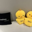 역넘어 | 울쎄라 후기,이중턱심부볼 효과 통증 강남역피부과 추천