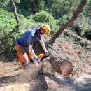 원곡면 게이트볼장 이미지