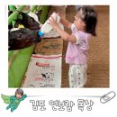 서암리농장 | [공지] 김포 연보람목장 예약 먹이 주기 낙농 체험 아이랑 갈만한 곳