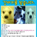 괴정2동-5 이미지