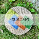 대구보그과정 입문과 강사과 4월 개강 리네아손뜨개한옥공방 아델라클래스