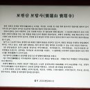 2.충북/진천/보탑사+이팝나무길(2026.4.16) 이미지