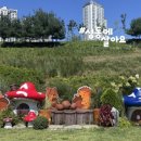 피크닉장 이미지