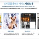 레인보우 동물병원 이미지