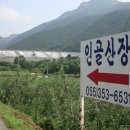 가인농장 이미지