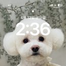 헬로우 그루밍 이미지