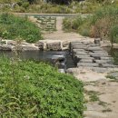 장미공원길 이미지