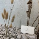 스튜디오필린