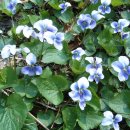 동영중학교 이미지