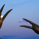 모전1-1공원 이미지