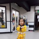 동원키즈 태권도 이미지