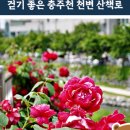 용산천변길 네이버블로그
