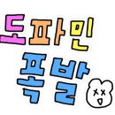 도코데이 이미지