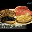 비타민열쇠