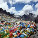 소이네 닭장 이미지