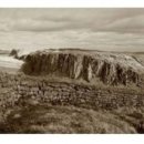 언덕위의하얀집 이미지