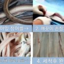 통영장어 이미지