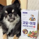 즐거운야채 과일 | 강아지 동결건조 과일 간식 폴리데이 사료 토핑 급여 후기