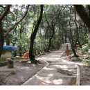 오동근린공원 이미지