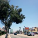 (주)코리아세븐 고잔로데오점 | 메트로 윌셔웨스턴(Wilshire/Western)역, 코리아타운, 로데오갤러리아, 북창동순두부, 맥도날드...