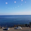 앤츠펜션 | 영덕 펜션 아일랜드107, 장신호 대게, 대게 라면