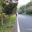 거제비치텔 이미지