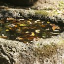 돌뿐이공원 이미지