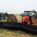 케이나인(K9)호텔 이미지