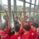 꿈나무 태권도 | 부곡동태권도 씩씩하고 똑똑하게 자라는 아이 꿈나무 체육교실 후기
