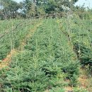 주식회사숲나무 이미지