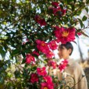 신흥2리 이미지