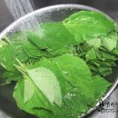 김치와 밑반찬 이미지