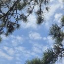 쉼, 힐링하우스 이미지