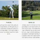 망고골프
