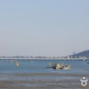 장서육교